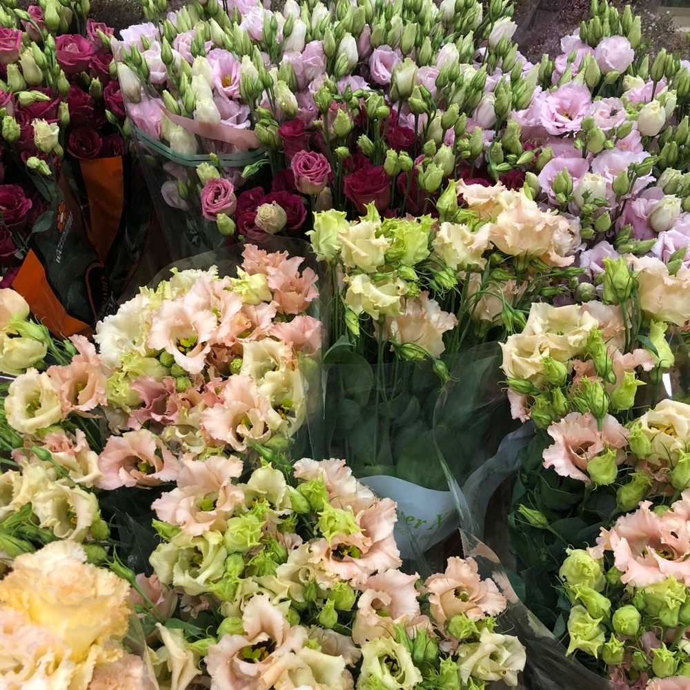 Meet your Posher, Sarina